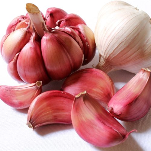 garlic, red garlic, head of garlic-618400.jpg